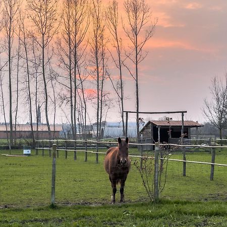 Agriturismo Al Botteniga Villa Treviso Kültér fotó