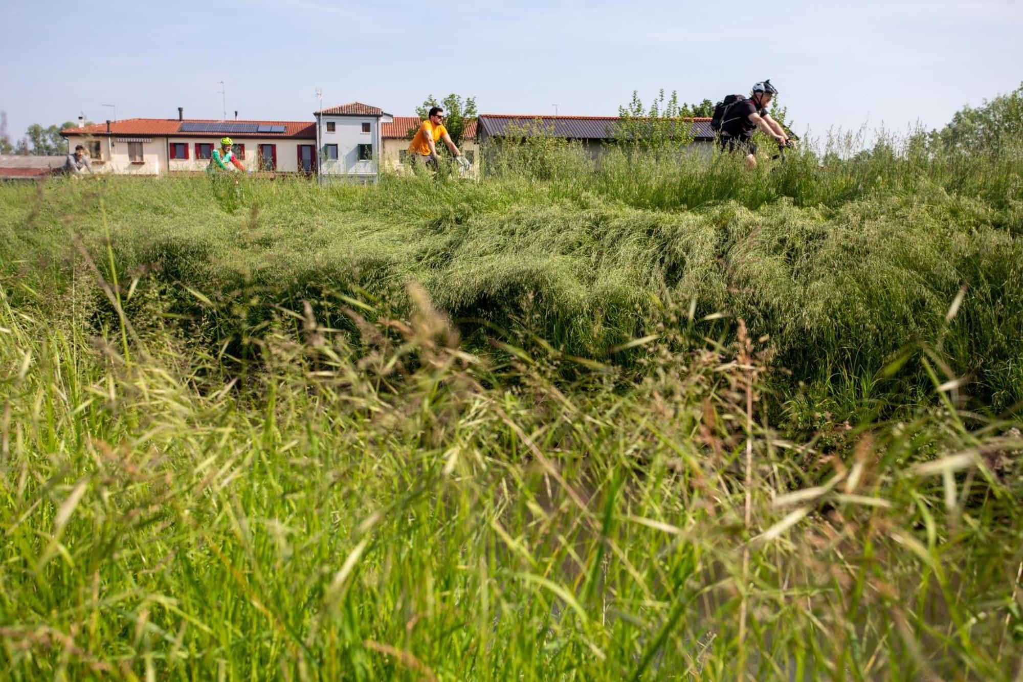 Agriturismo Al Botteniga Villa Treviso Kültér fotó