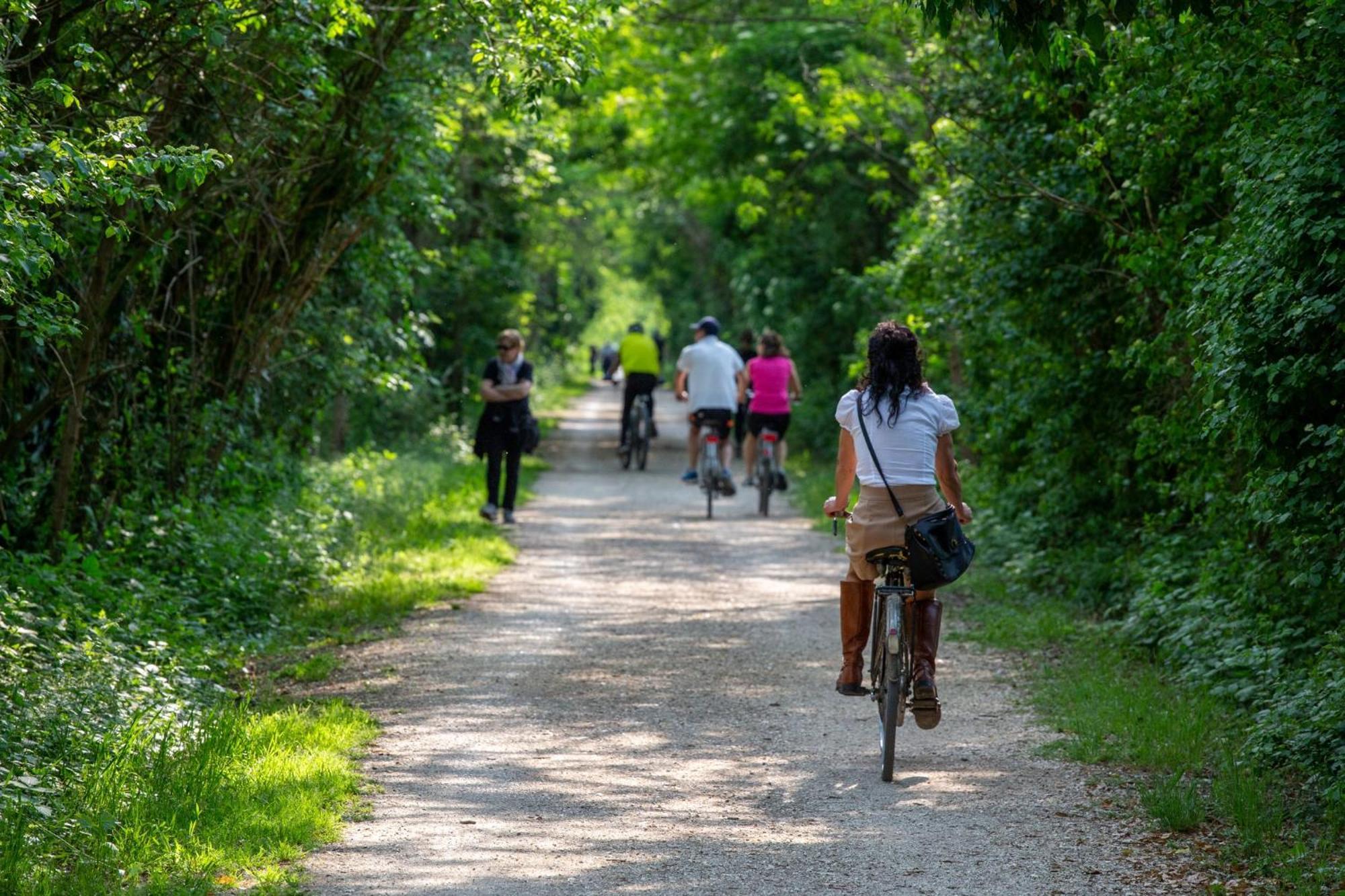 Agriturismo Al Botteniga Treviso Kültér fotó