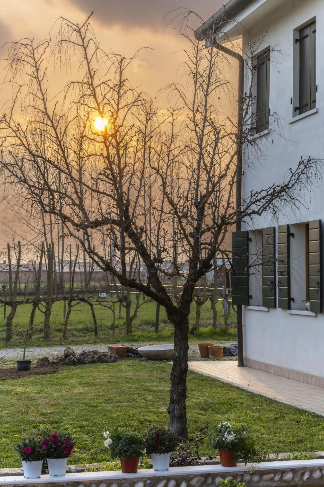 Agriturismo Al Botteniga Villa Treviso Kültér fotó