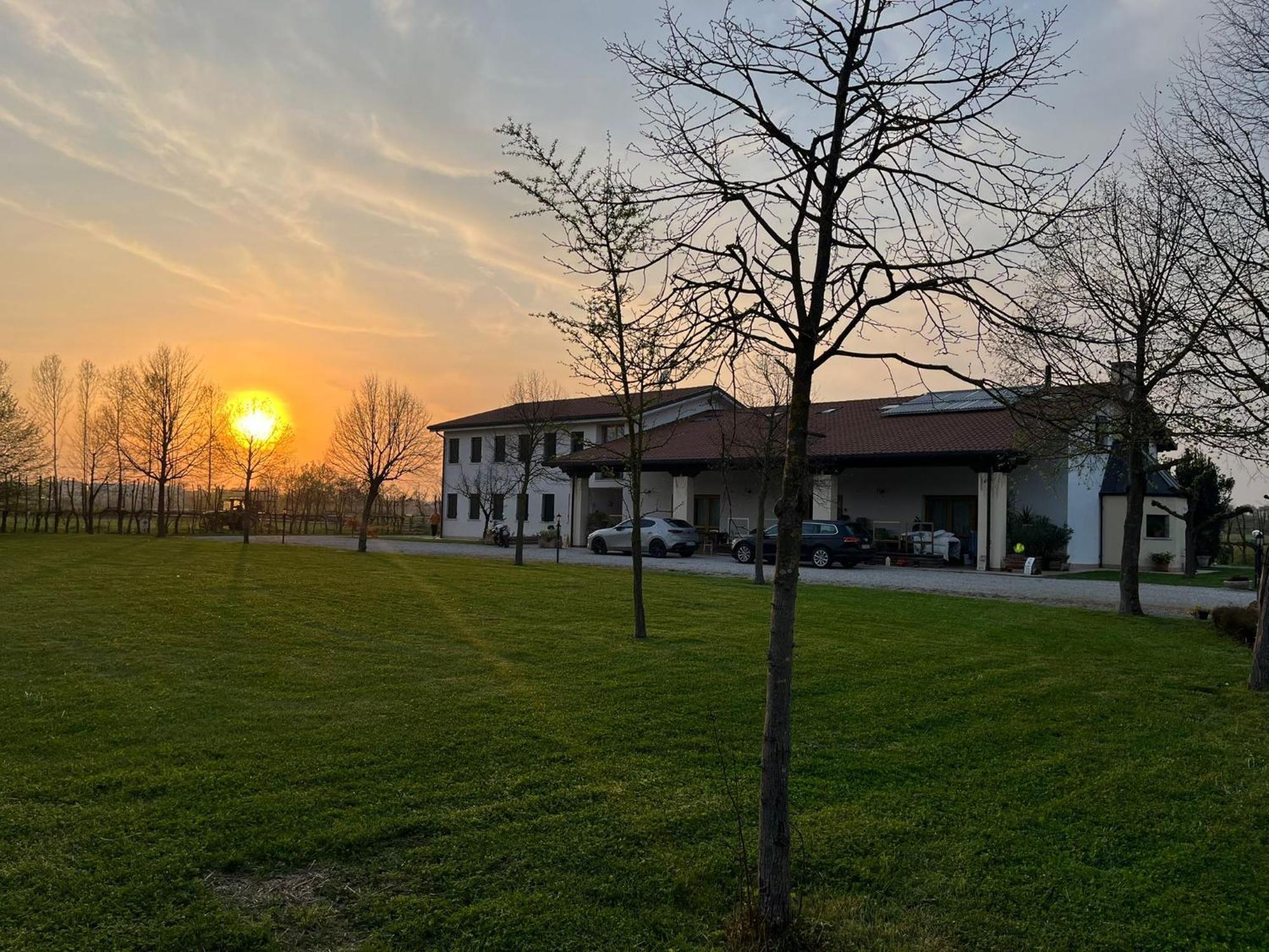 Agriturismo Al Botteniga Treviso Kültér fotó