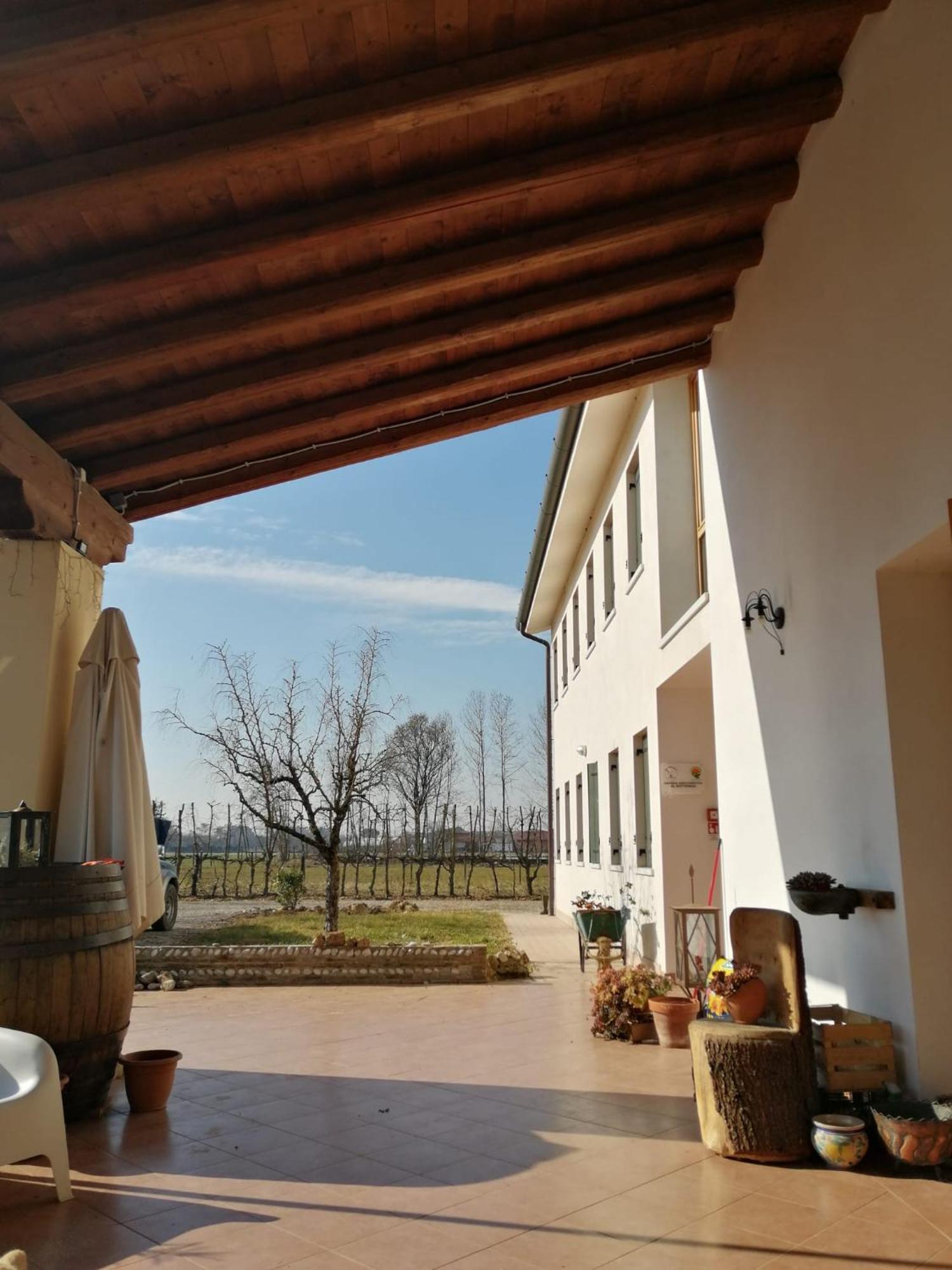 Agriturismo Al Botteniga Treviso Kültér fotó