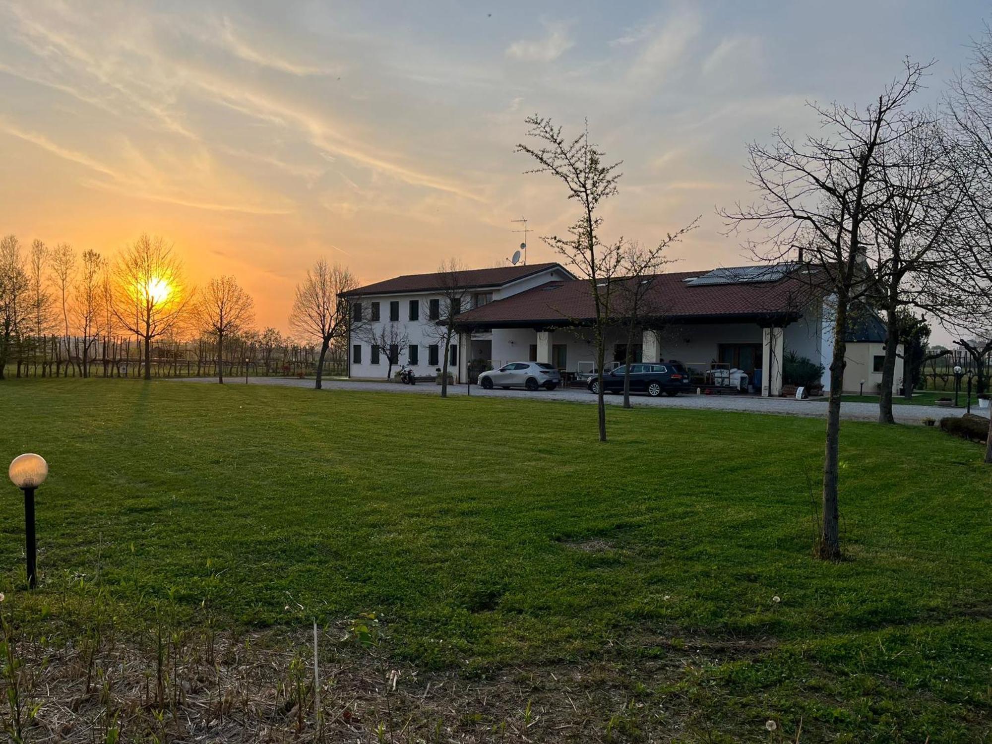 Agriturismo Al Botteniga Treviso Kültér fotó