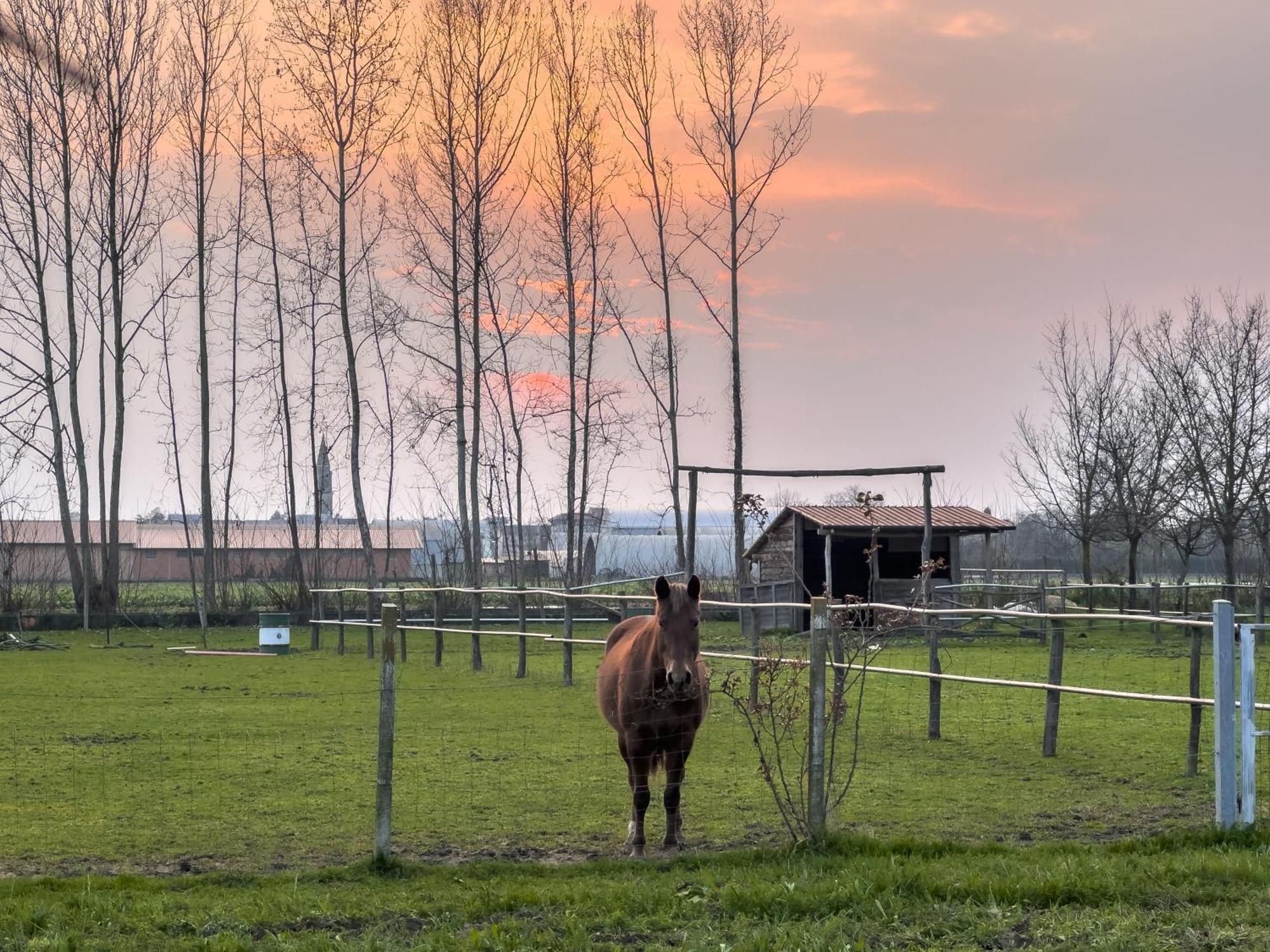 Agriturismo Al Botteniga Treviso Kültér fotó